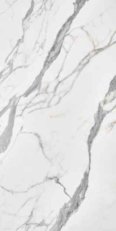 Elegant White (CP585)